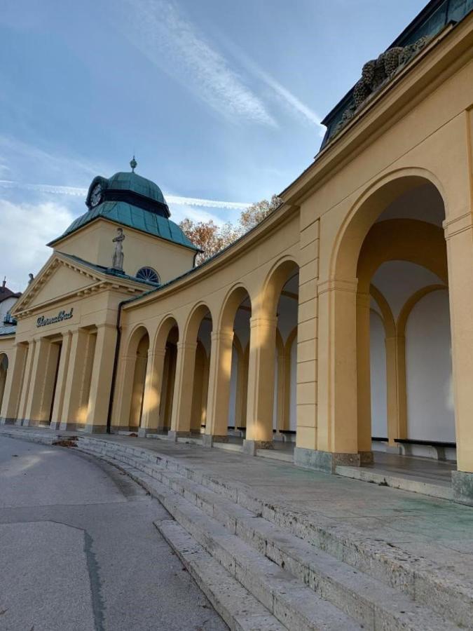 Villa Pazelt Top1 Bad Voeslau Exterior photo
